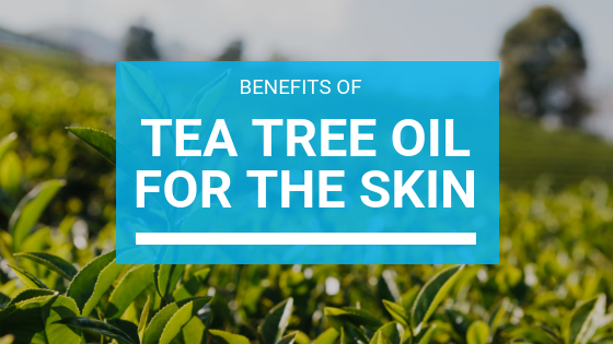 Tea Tree Oil Benefits for Skin
