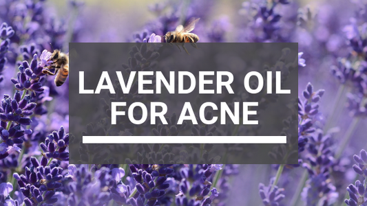 Lavender Oil for Acne: Everything You Need to Know