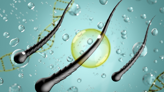 Hair Repair vs. Hair Growth: Why You Need Both for Visible Density