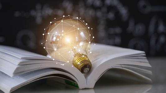 Technology and Education: The Middle Ground