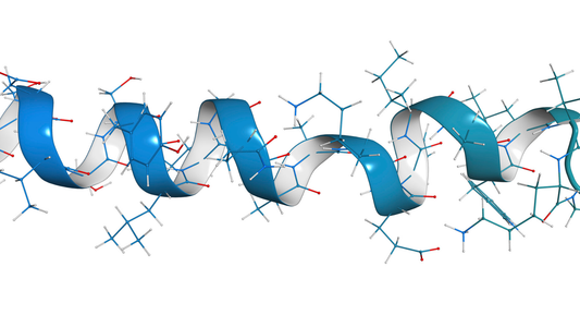 Thyrotropin TRH: A Multi-functional Regulatory Peptide With Expanding Research Potential
