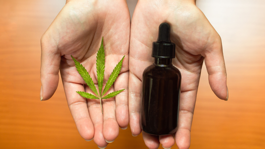 How Can CBD Help Maintain Wellness in Dogs Over Time?