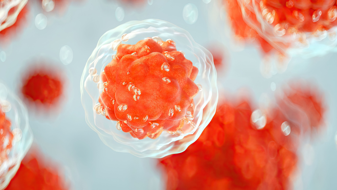 Why Stem Cell Therapy is Considered a Medical Breakthrough