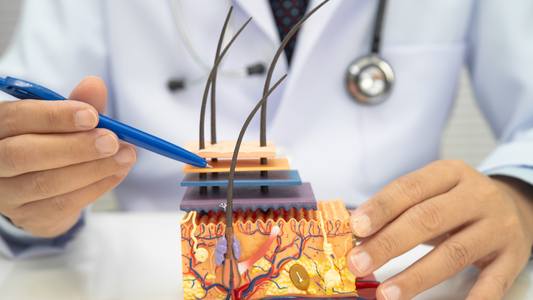 Hair Transplant Aftercare: Daily Scalp Care, Washing, and Product Mistakes to Avoid