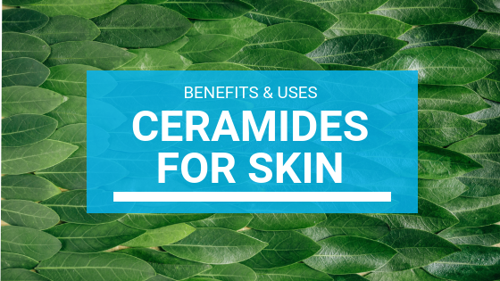 Ceramides For Skin: Benefits & Uses