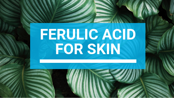 Ferulic Acid For Skin: The Ultimate Guide