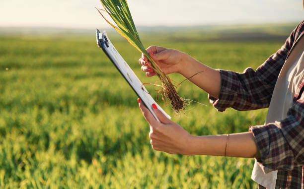 How Agricultural Research Becomes Practical Knowledge For Farmers