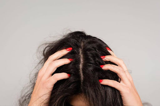 Your Scalp Microbiome: The Foundation of Healthy Hair