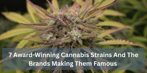 7 Award-Winning Cannabis Strains And The Brands Making Them Famous