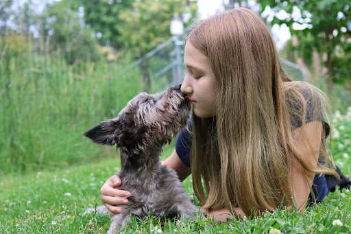 Pet Allergies and Sensitive Skin: What Cat Owners Should Know About Breed Differences