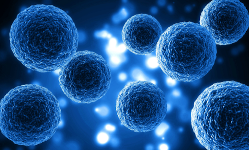 What to Expect from Stem Cell Therapy and How Long It Takes to Work