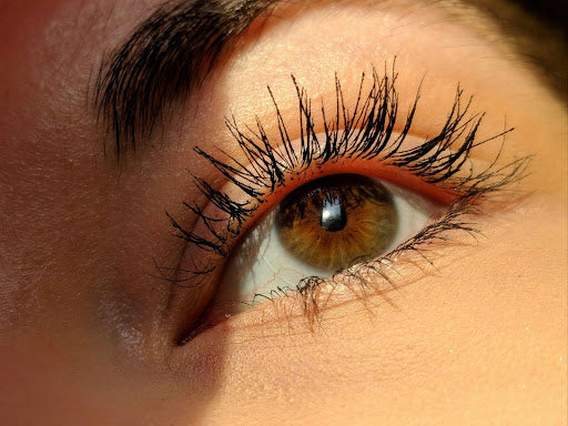 Professional Lash and Nail Care Products for Long-Lasting Results
