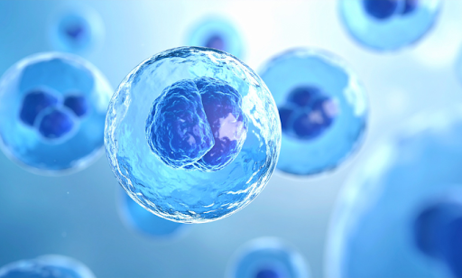 Why Stem Cell Therapy is Considered a Medical Breakthrough